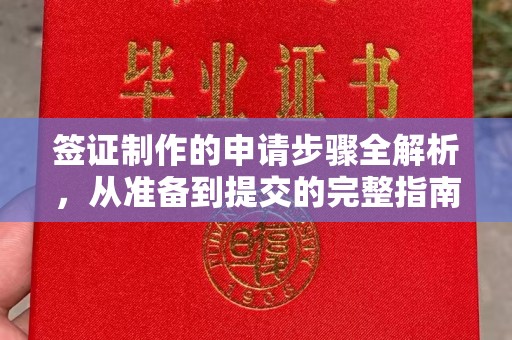 玉树签证制作的申请步骤全解析，从准备到提交的完整指南