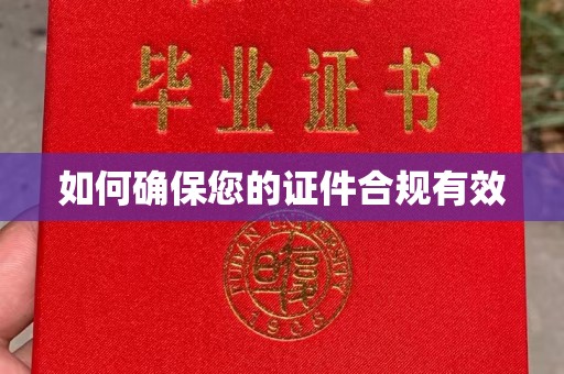 玉树如何确保您的证件合规有效