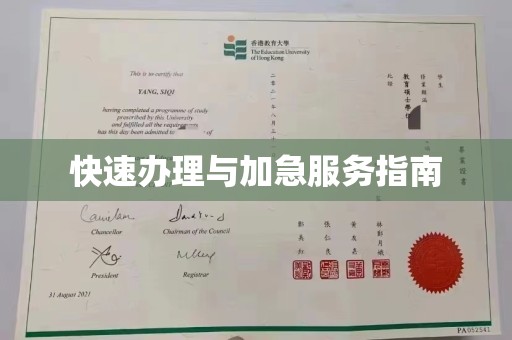 玉树快速办理与加急服务指南