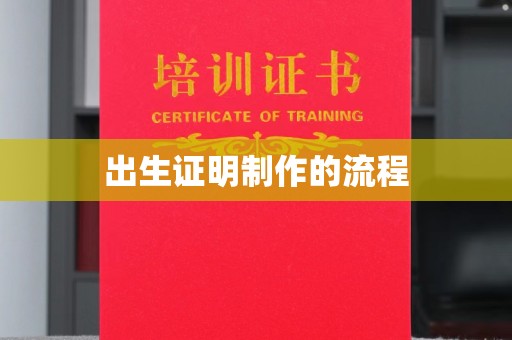 玉树出生证明制作的流程
