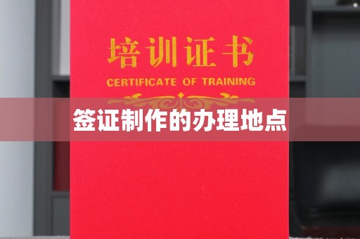 玉树签证制作的办理地点