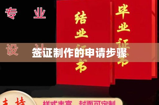 玉树签证制作的申请步骤