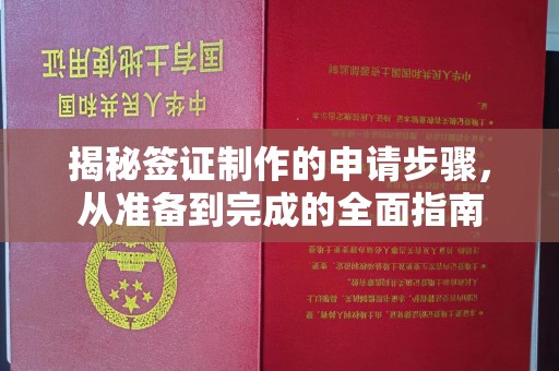 玉树揭秘签证制作的申请步骤，从准备到完成的全面指南