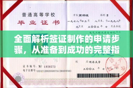 玉树全面解析签证制作的申请步骤，从准备到成功的完整指南