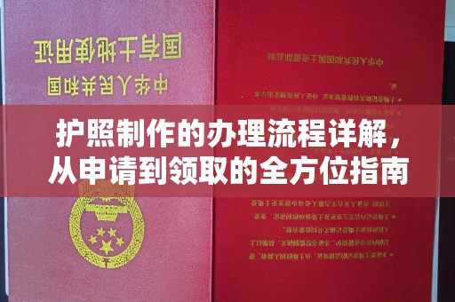 玉树护照制作的办理流程详解，从申请到领取的全方位指南
