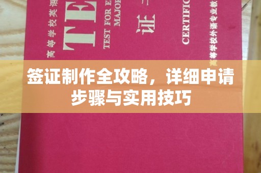 玉树签证制作全攻略，详细申请步骤与实用技巧