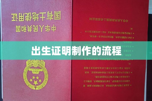 玉树出生证明制作的流程