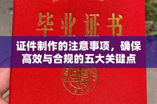 玉树证件制作的注意事项，确保高效与合规的五大关键点