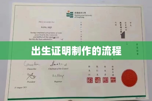 玉树出生证明制作的流程